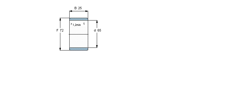SKF LI(y)R65x72x25ӱDƬ