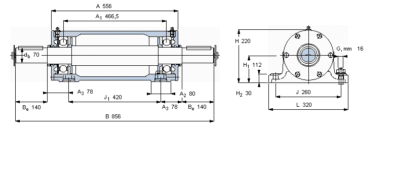 SKF pԪPDNB316ӱDƬ